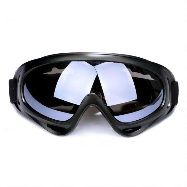 Dust-Proof Padded Motorcycle Goggles Black Frame Grey Lens