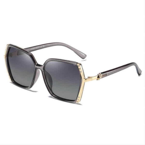 Embellished Square Polarized Sunglasses Transparent Grey Oversized Plastic Frame