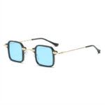 Blue Small Square Acetate and Metal Sunglasses