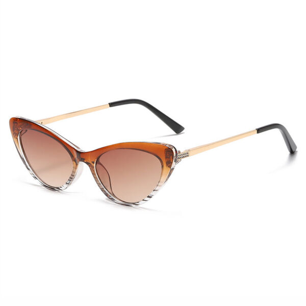 Acetate & Gold-Tone Metal Cat Eye Sunglasses Brown Stripe/Gradient Brown