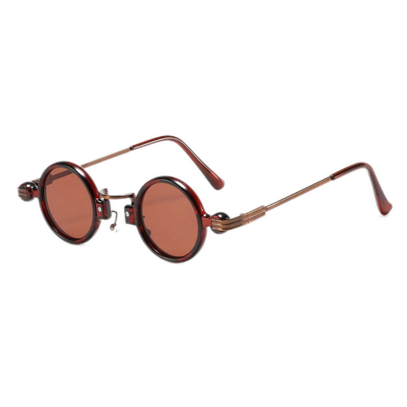 Retro Steampunk Metal & Acetate Small Round Sunglasses Brown